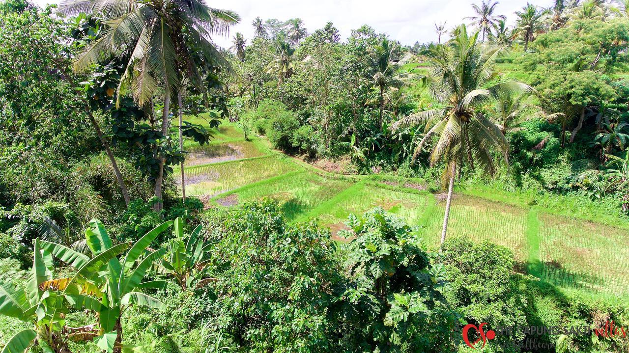 Capung Sakti Villas Ubud Esterno foto