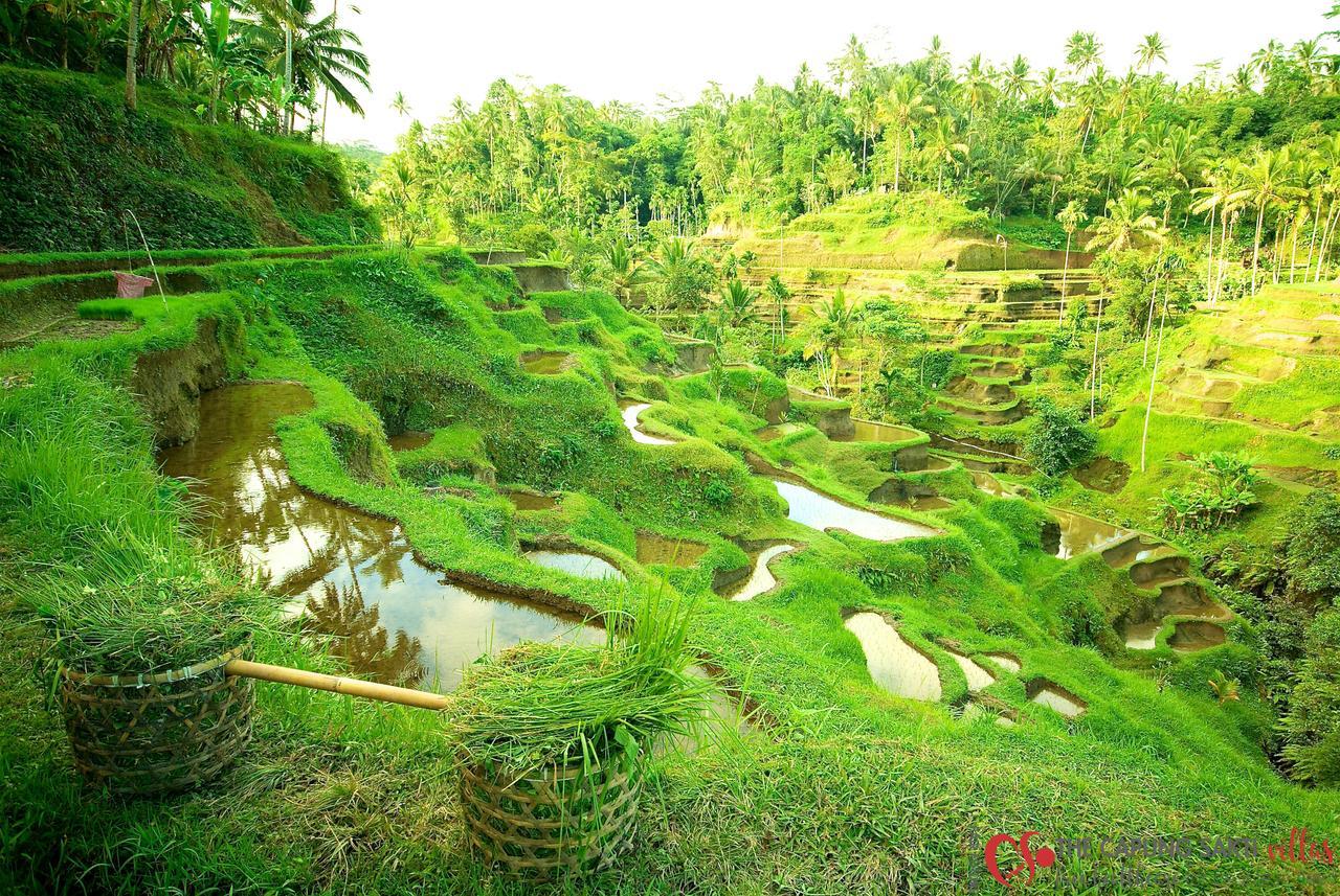 Capung Sakti Villas Ubud Esterno foto