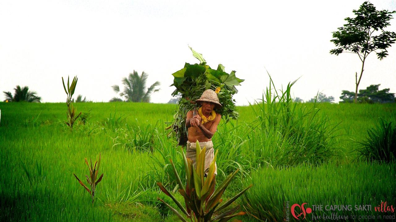 Capung Sakti Villas Ubud Esterno foto