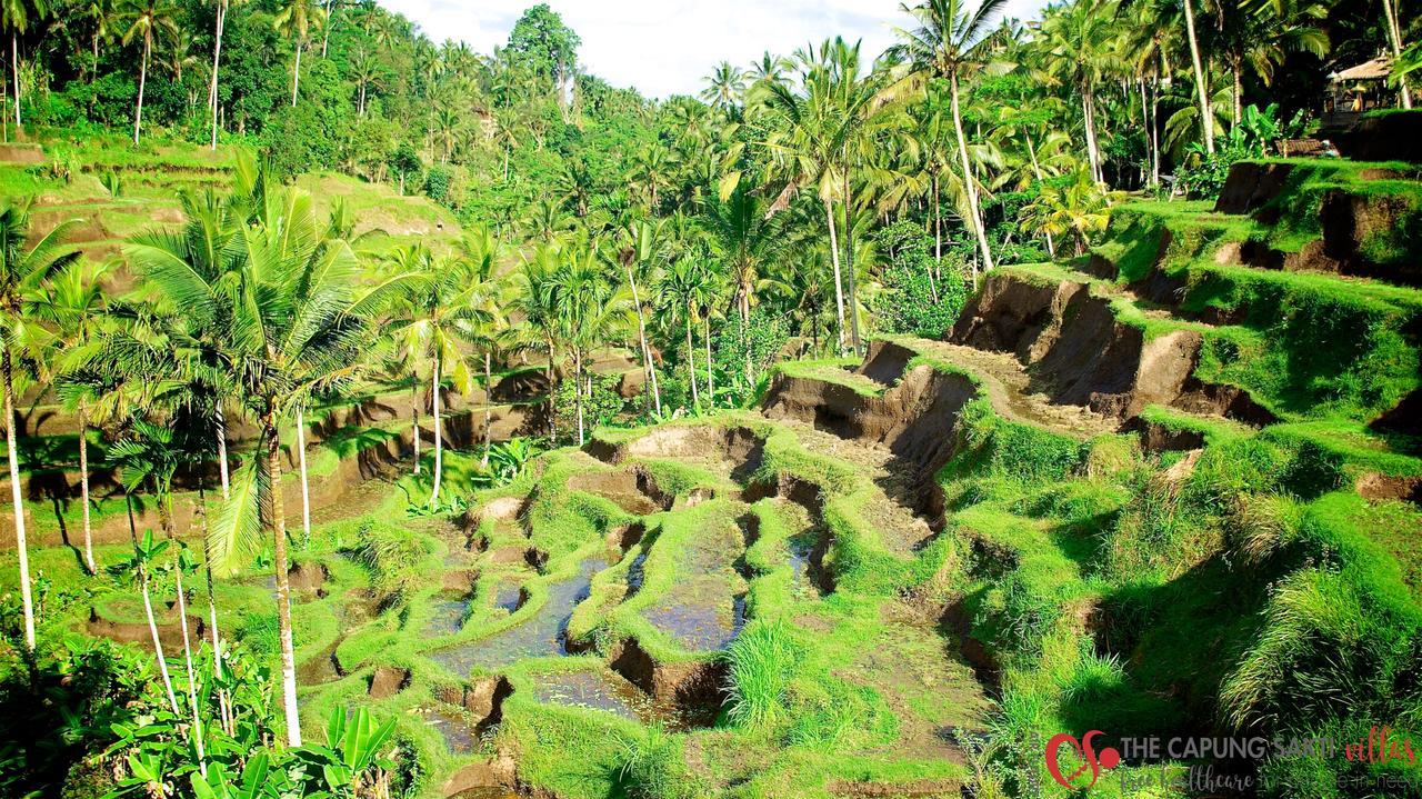 Capung Sakti Villas Ubud Esterno foto